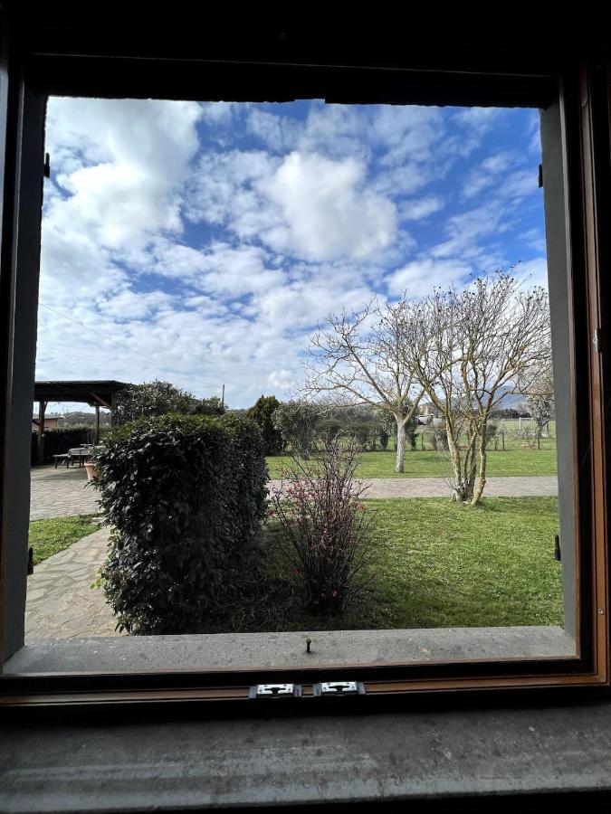 Loc.Cioccaie Apartamento Grosseto Exterior foto