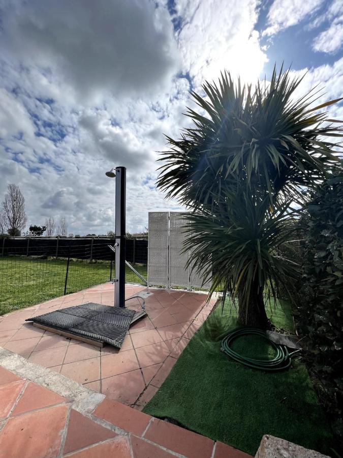 Loc.Cioccaie Apartamento Grosseto Exterior foto